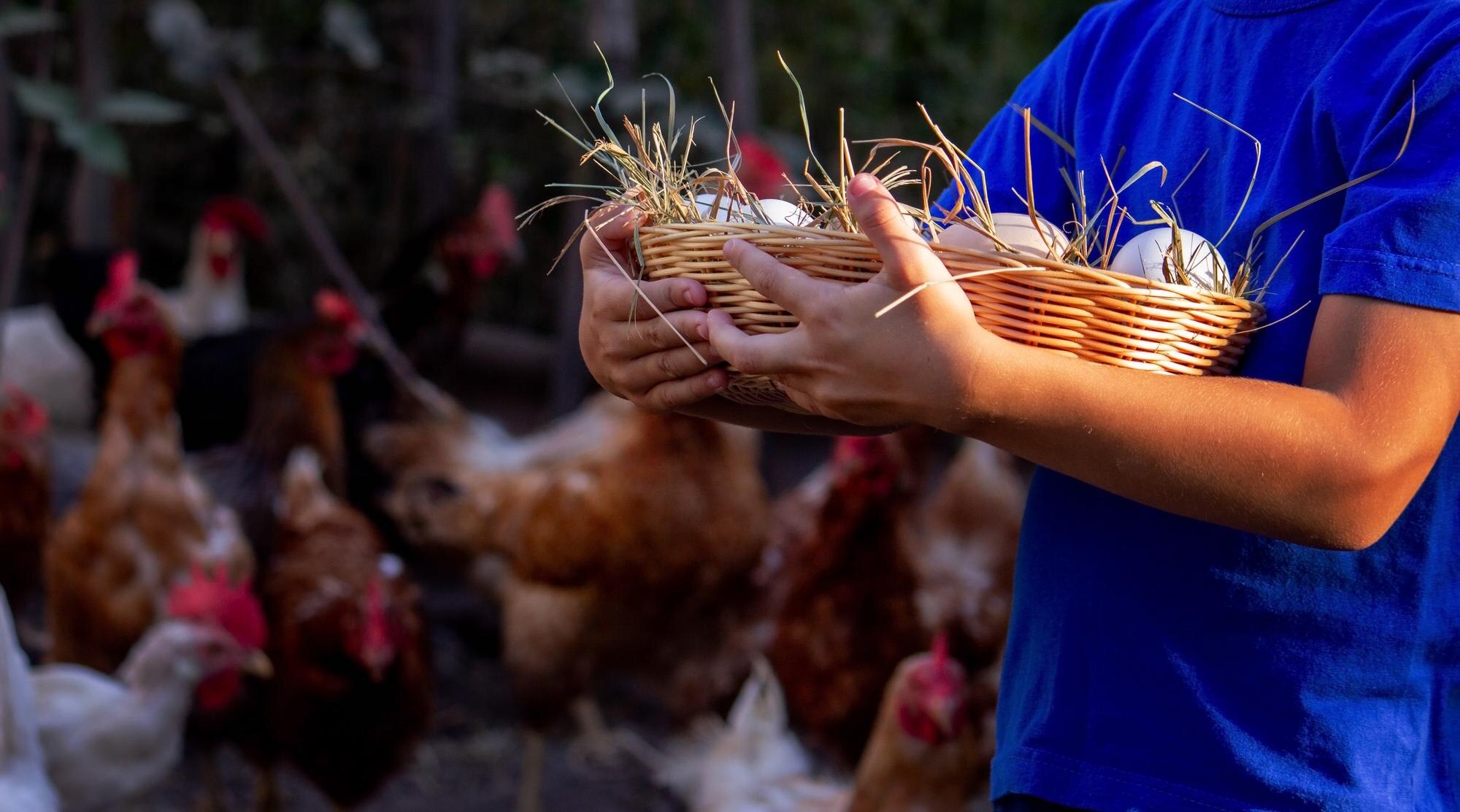 Grand Poultry Showcase 2025